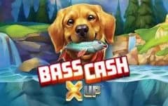 Bass Cash X UP
