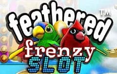 Feathered Frenzy
