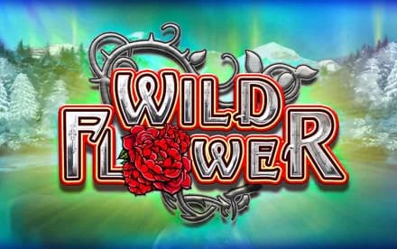 Wild Flower