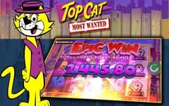 Top Cat Most Wanted