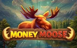 Money Moose