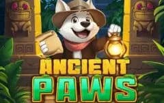 Ancient Paws