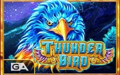 Thunder Bird