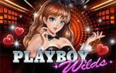 Playboy Wilds