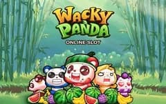 Wacky Panda