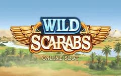 Wild Scarabs
