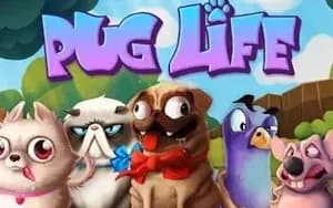 Pug Life