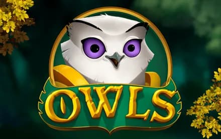 Owls