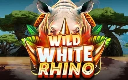 Wild White Rhino