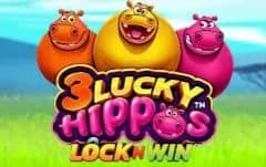 3 Lucky Hippos
