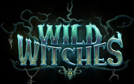 Wild Witches