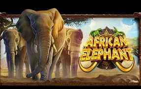 African Elephant artwork