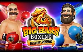 Big Bass Boxing Bonus Round artwork