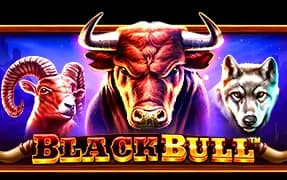 Black Bull artwork