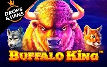 Buffalo King artwork