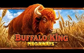 Buffalo King Megaways artwork