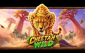 Cheetah Wild artwork