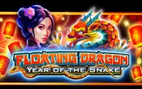 Floating Dragon โ Year of the Snake artwork