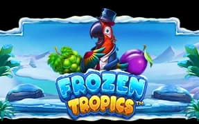 Frozen Tropics artwork