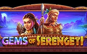 Gems of Serengeti artwork