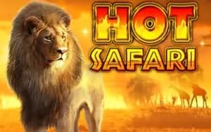 Hot Safari artwork