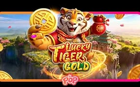 Lucky Tiger Gold artwork