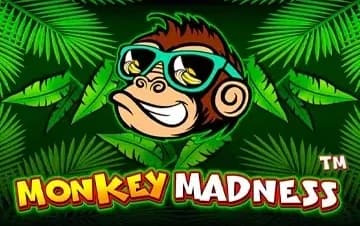 Monkey Madness artwork