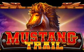 Mustang Trail artwork