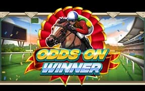 Odds On Winner artwork