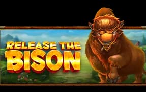 Release the Bison artwork
