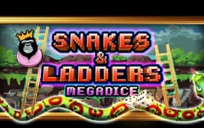 Snakes and Ladders Megadice artwork