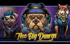 The Big Dawgs artwork