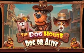 The Dog House โ Dog or Alive artwork