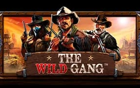 The Wild Gang artwork