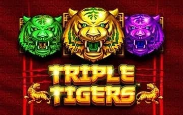 Triple Tigers artwork