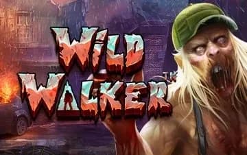 Wild Walker artwork