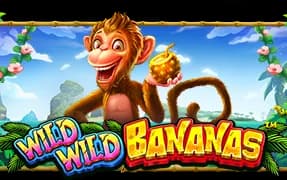 Wild Wild Bananas artwork