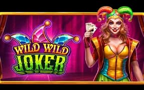 Wild Wild Joker artwork