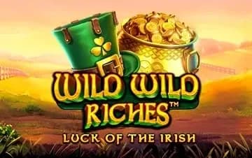 Wild Wild Riches artwork
