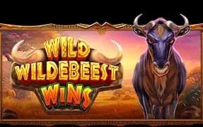 Wild Wildebeest Wins artwork