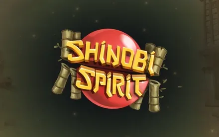 Shinobi Spirit