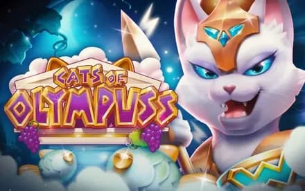 Cats of Olympuss
