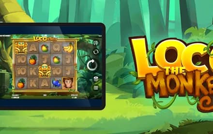 Loco The Monkey