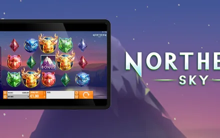 Northern Sky