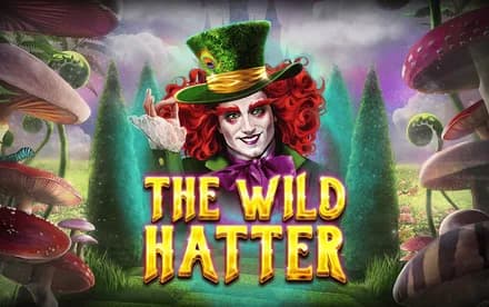 The Wild Hatter