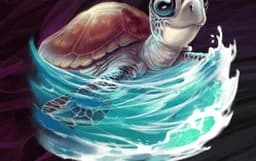 Turtle Paradise