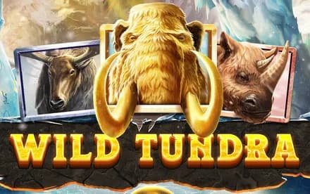Wild Tundra