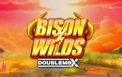 Bison Wilds DoubleMax™ artwork