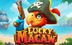 Lucky Macaw